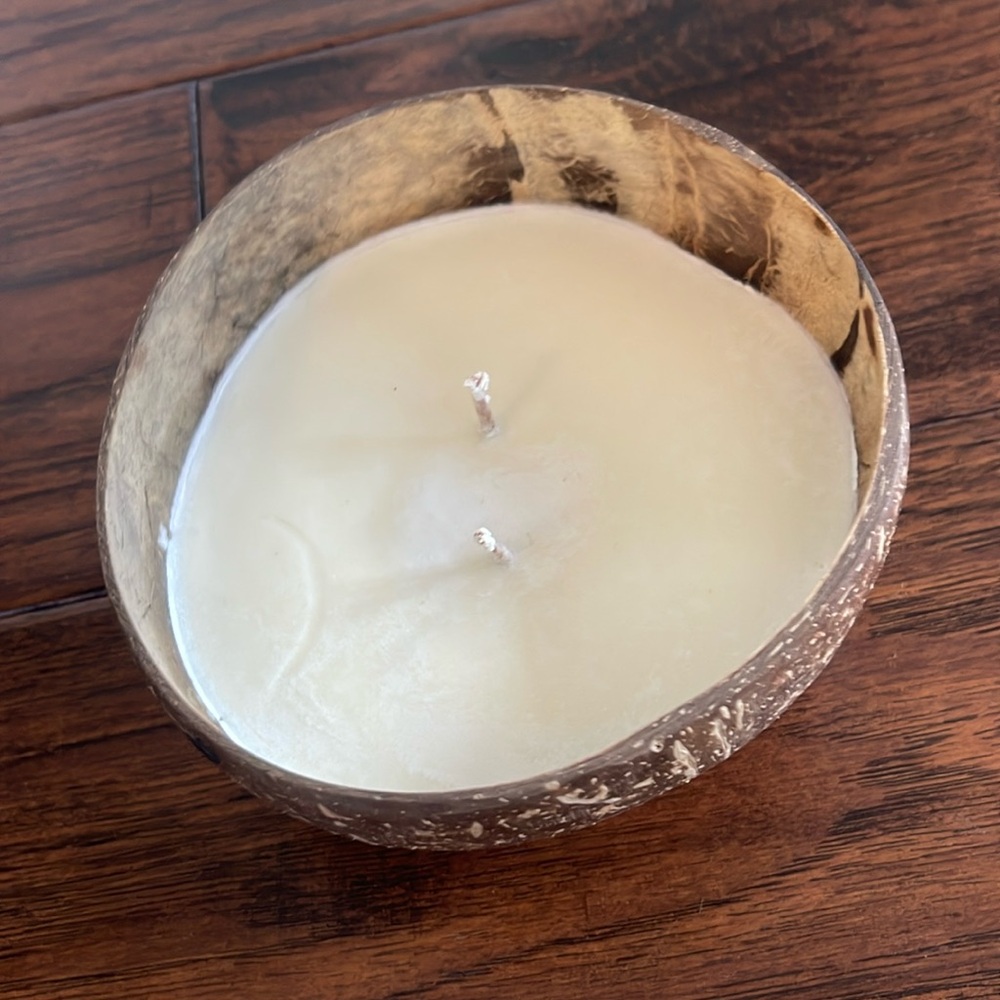 THE BASIC COCONUT hand made coconut double wick candle